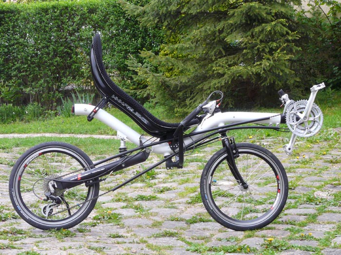 AZUB Bufo