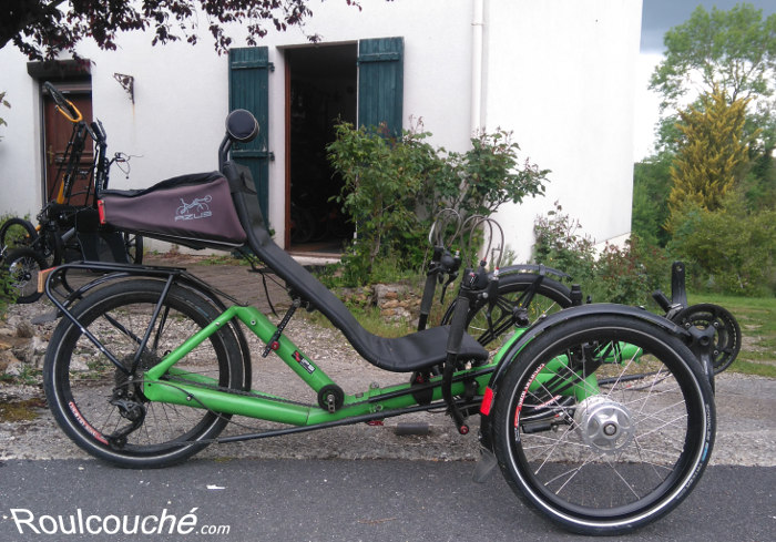 Showquest Attaché Chic Stock or Rose Neuf Fin De Ligne Cheval Équestre